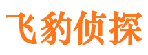 枣强侦探公司